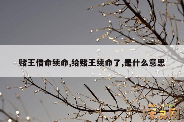 赌王借命续命,给赌王续命了,是什么意思