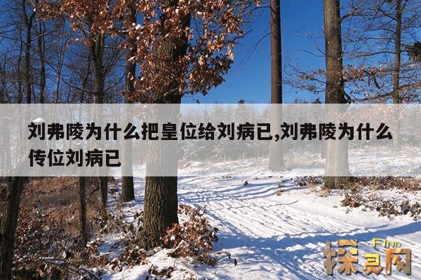 刘弗陵为什么把皇位给刘病已,刘弗陵为什么传位刘病已