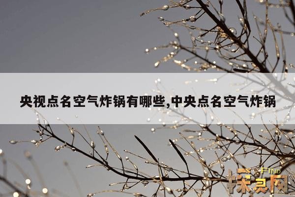 央视点名空气炸锅有哪些,中央点名空气炸锅