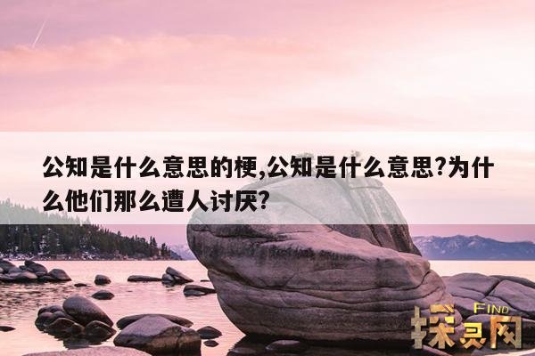 公知是什么意思的梗,公知是什么意思?为什么他们那么遭人讨厌?