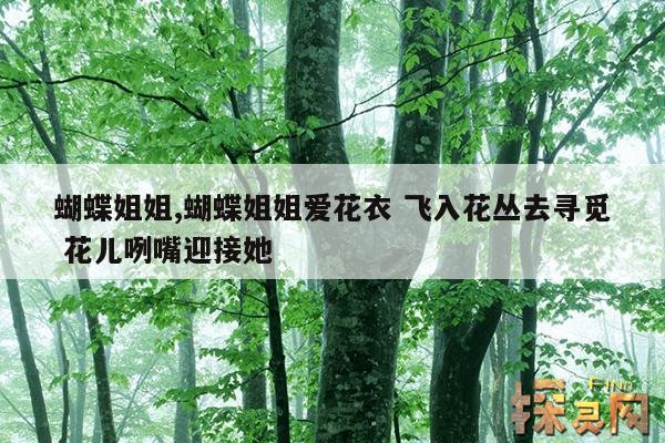 蝴蝶姐姐,蝴蝶姐姐爱花衣 飞入花丛去寻觅 花儿咧嘴迎接她