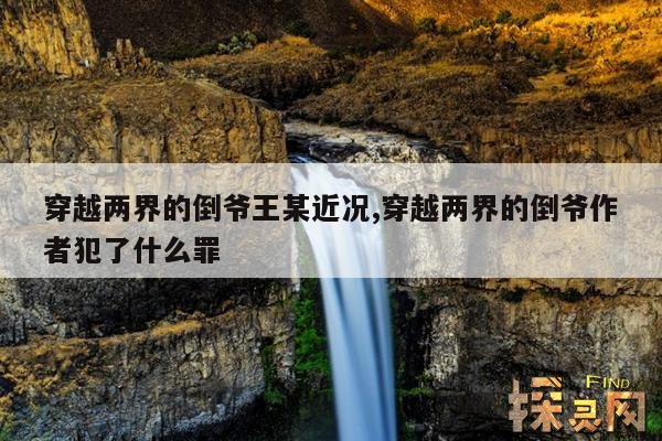 穿越两界的倒爷王某近况,穿越两界的倒爷作者犯了什么罪