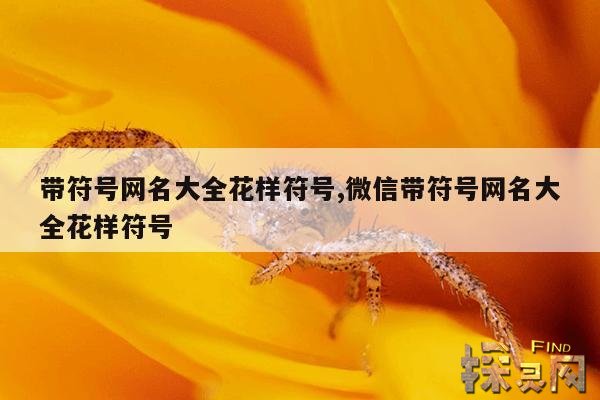 带符号网名大全花样符号,微信带符号网名大全花样符号