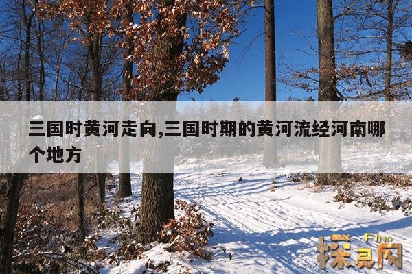 三国时黄河走向,三国时期的黄河流经河南哪个地方