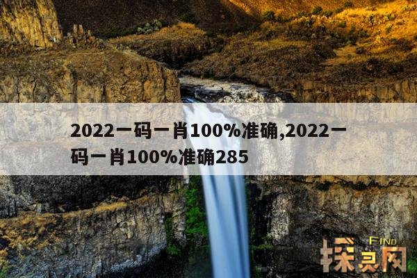 2022一码一肖100%准确,2022一码一肖100%准确285