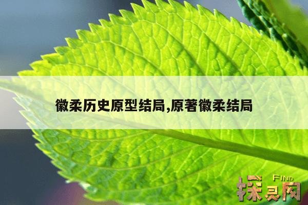 徽柔历史原型结局,原著徽柔结局
