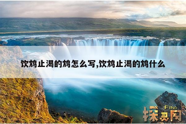 饮鸩止渴的鸩怎么写,饮鸩止渴的鸩什么