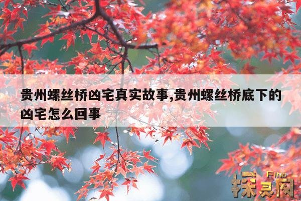 贵州螺丝桥凶宅真实故事,贵州螺丝桥底下的凶宅怎么回事