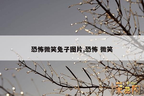 恐怖微笑兔子图片,恐怖 微笑