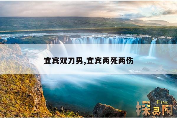 宜宾双刀男,宜宾两死两伤