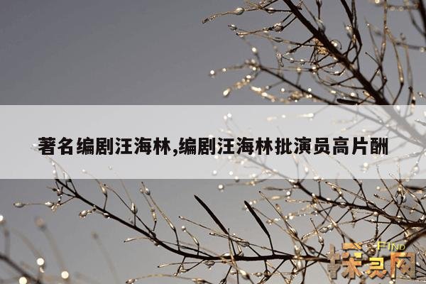 著名编剧汪海林,编剧汪海林批演员高片酬