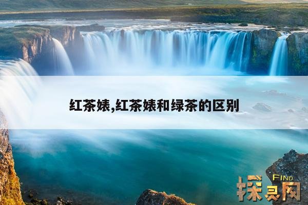 红茶婊,红茶婊和绿茶的区别