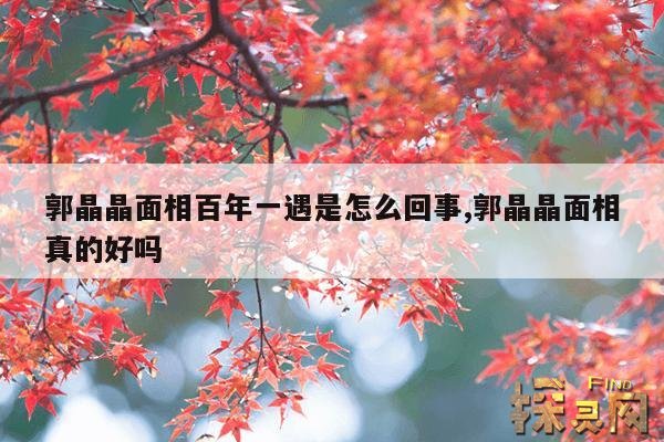 郭晶晶面相百年一遇是怎么回事,郭晶晶面相真的好吗