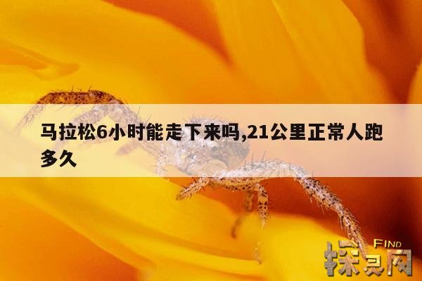 马拉松6小时能走下来吗,21公里正常人跑多久