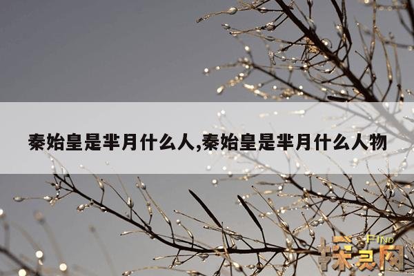 秦始皇是芈月什么人,秦始皇是芈月什么人物
