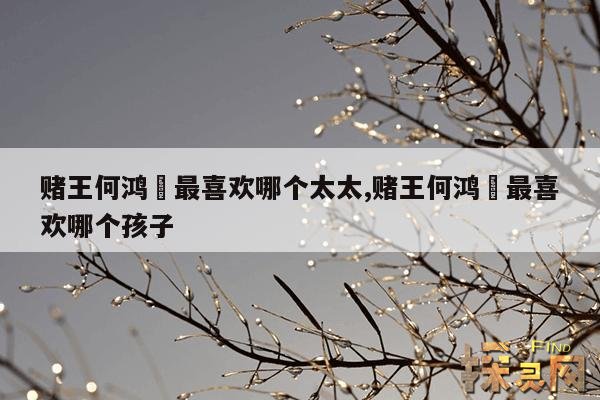 赌王何鸿燊最喜欢哪个太太,赌王何鸿燊最喜欢哪个孩子