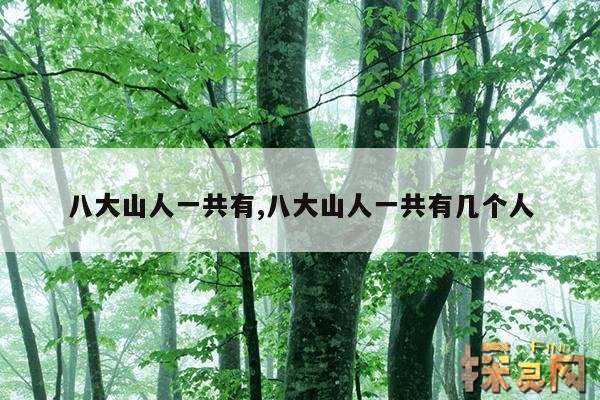 八大山人一共有,八大山人一共有几个人