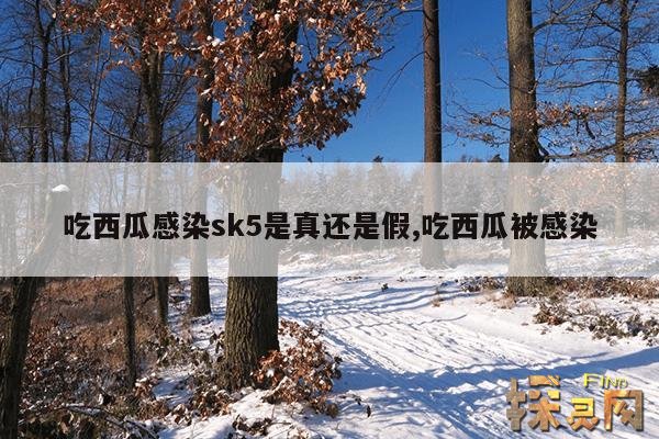 吃西瓜感染sk5是真还是假,吃西瓜被感染