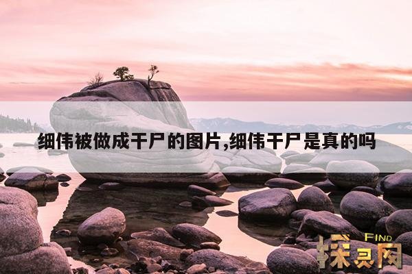 细伟被做成干尸的图片,细伟干尸是真的吗