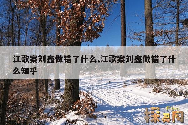 江歌案刘鑫做错了什么,江歌案刘鑫做错了什么知乎