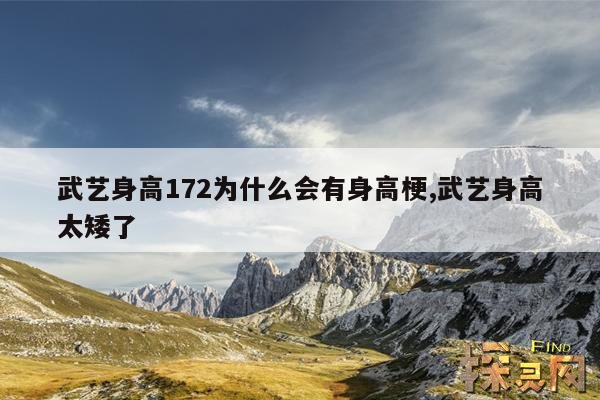 武艺身高172为什么会有身高梗,武艺身高太矮了