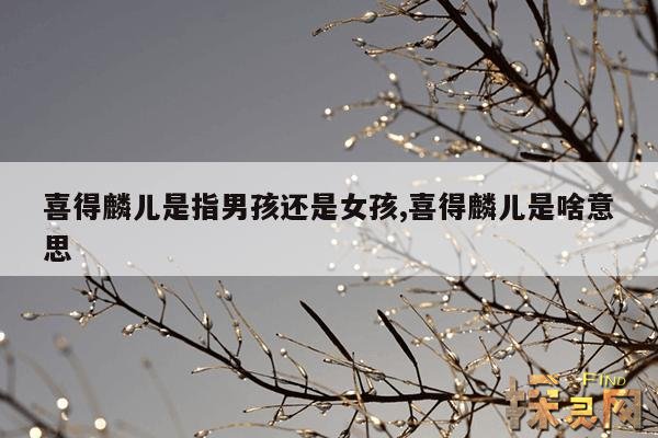 喜得麟儿是指男孩还是女孩,喜得麟儿可以用于恭喜别人吗?