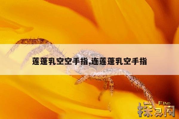 莲蓬乳空空手指,连莲蓬乳空手指
