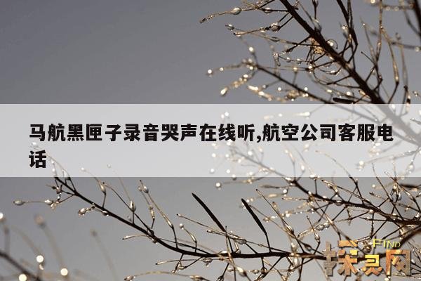 马航黑匣子录音哭声在线听,航空公司客服电话
