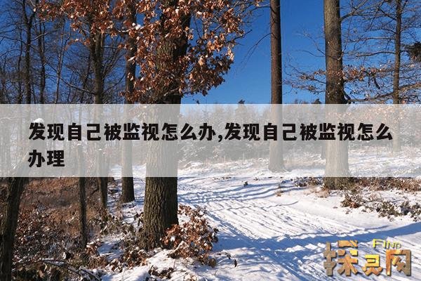 发现自己被监视怎么办,发现自己被监视怎么办理