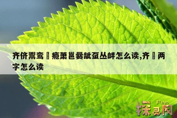 齐侪鬻鸾麤瘾萧邕爨龇虿丛衅怎么读,齐缞是什么意思