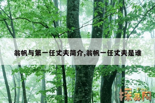 翁帆与第一任丈夫简介,翁帆一任丈夫是谁