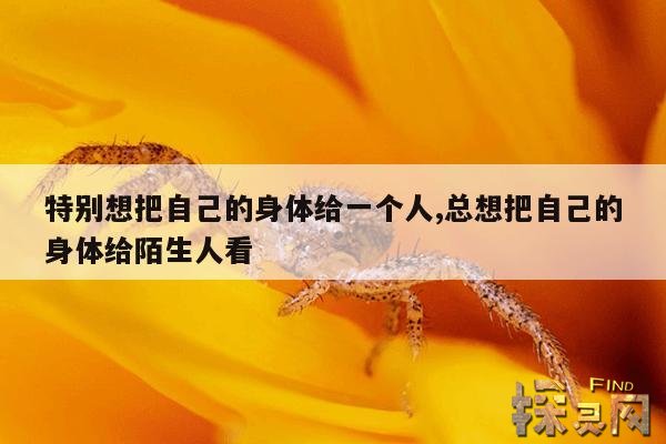 特别想把自己的身体给一个人,总想把自己的身体给陌生人看