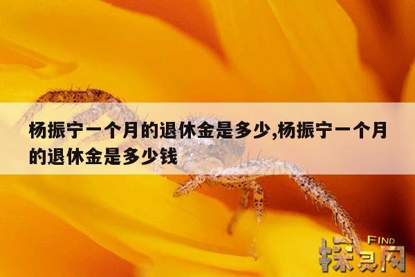 杨振宁一个月的退休金是多少,杨振宁一个月的退休金是多少钱