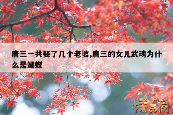 唐三一共娶了几个老婆,唐三的女儿武魂为什么是蝴蝶