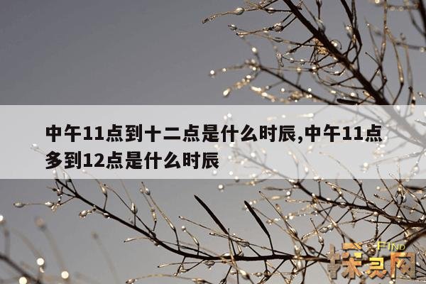 中午11点到十二点是什么时辰,中午11点到12点之间是什么时辰