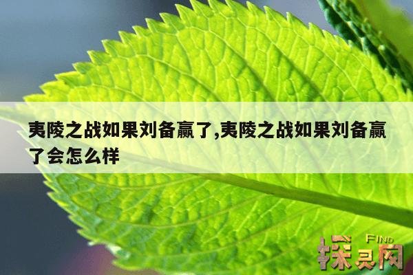 夷陵之战如果刘备赢了,夷陵之战如果刘备赢了会怎么样