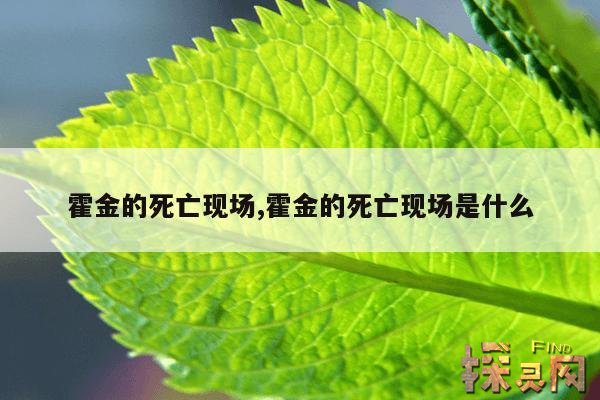 霍金的死亡现场,霍金的死亡现场是什么