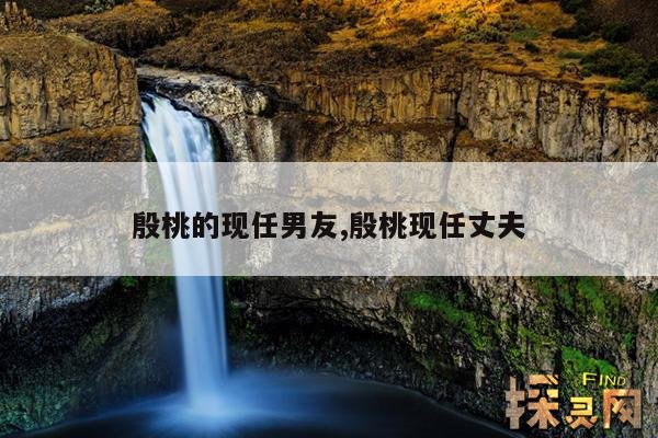 殷桃的现任男友,殷桃现任丈夫