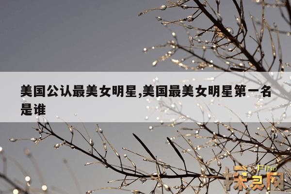 美国公认最美女明星,美国最美女明星第一名是谁