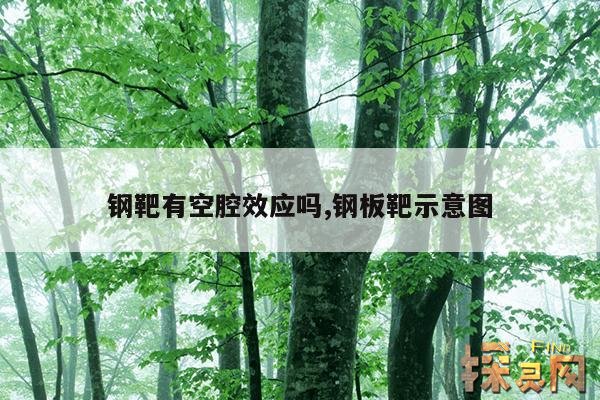 钢靶有空腔效应吗,钢板靶示意图