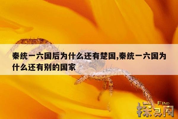 秦统一六国后为什么还有楚国,秦统一六国为什么还有别的国家