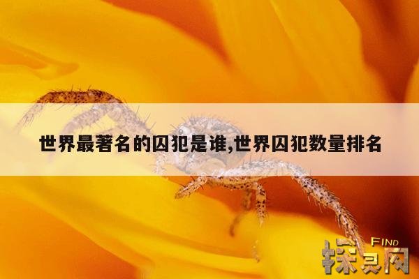 世界最著名的囚犯是谁,世界囚犯数量排名