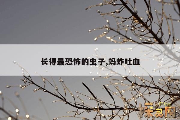 长得最恐怖的虫子,蚂蚱吐血