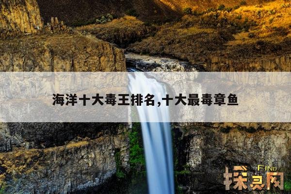 海洋十大毒王排名,十大最毒章鱼