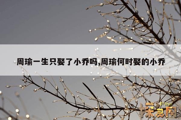 周瑜一生只娶了小乔吗,周瑜何时娶的小乔