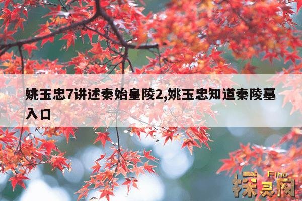 姚玉忠7讲述秦始皇陵2,姚玉忠知道秦陵墓入口