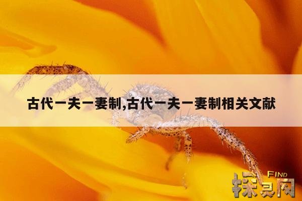 古代一夫一妻制,古代一夫一妻制的朝代