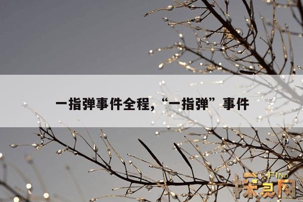 一指弹事件全程,“一指弹”事件