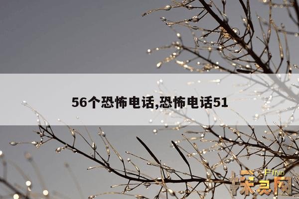 56个恐怖电话,恐怖电话51