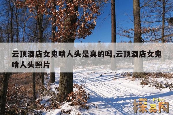 云顶酒店女鬼啃人头是真的吗,云顶酒店女鬼啃人头照片